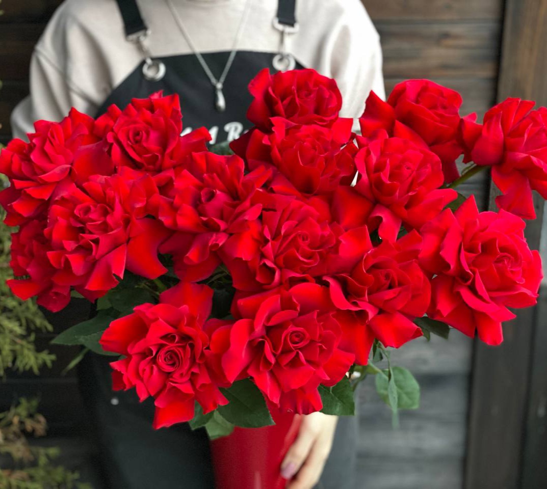 Роза Французская 60 см
